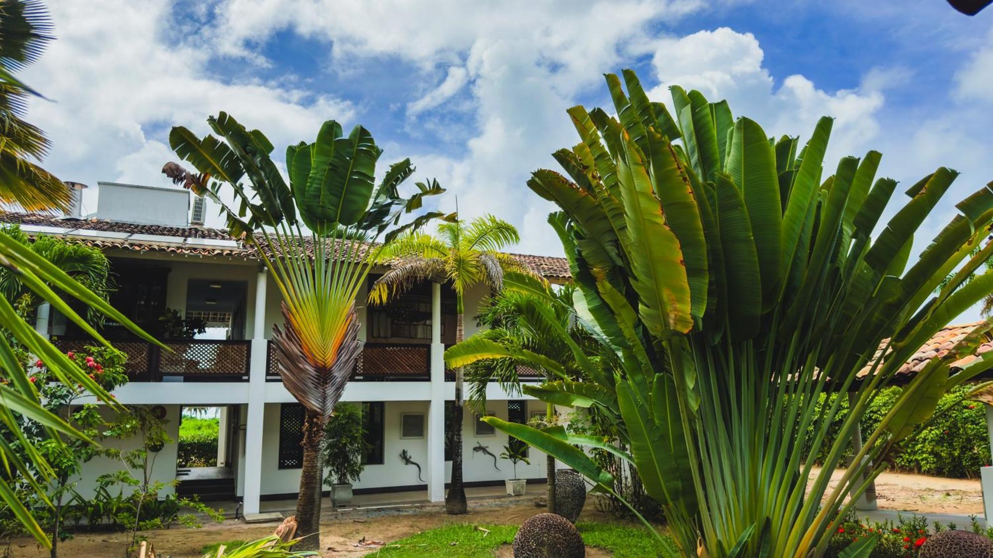 Casa Acayu 호텔 São Miguel dos Milagres 외부 사진