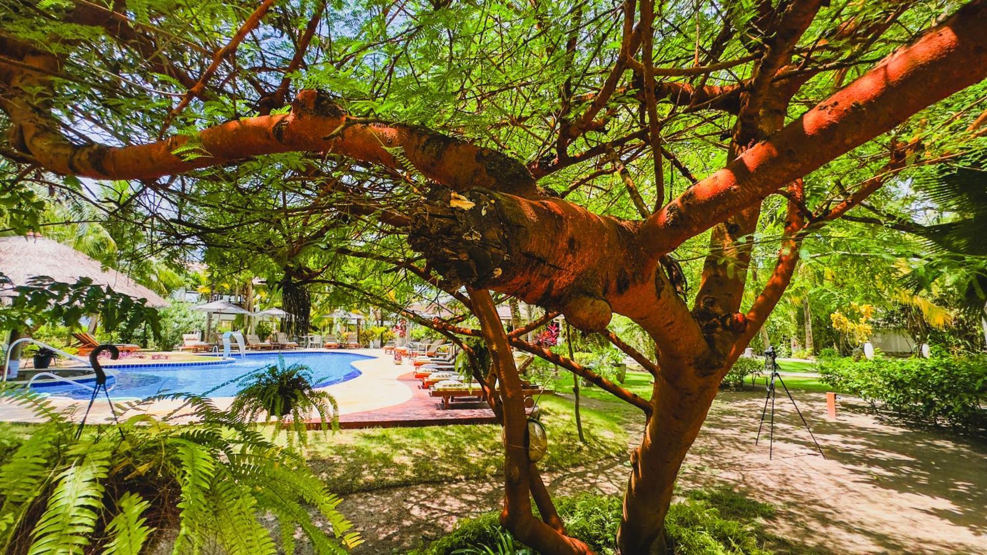 Casa Acayu 호텔 São Miguel dos Milagres 외부 사진